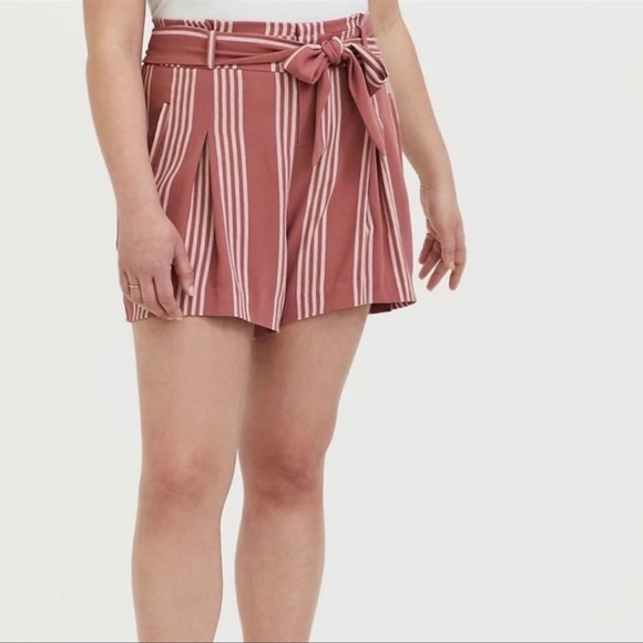 Torrid Shorts - Picture 3 of 4